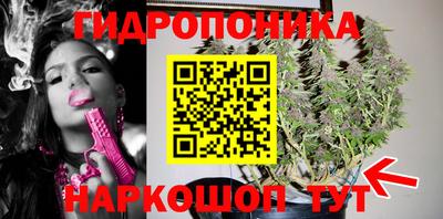 МДПВ Дубна