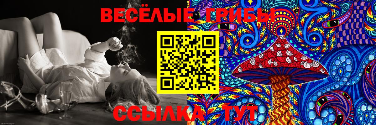 Псилоцибиновые грибы Magic Shrooms Ноябрьск