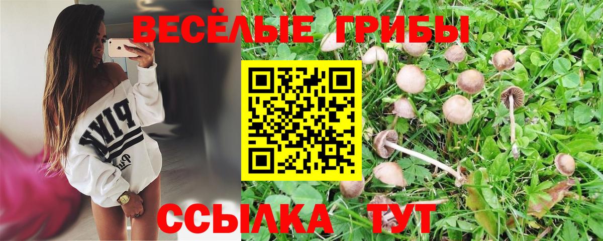Псилоцибиновые грибы прущие грибы  Вход с VPN  Ноябрьск 