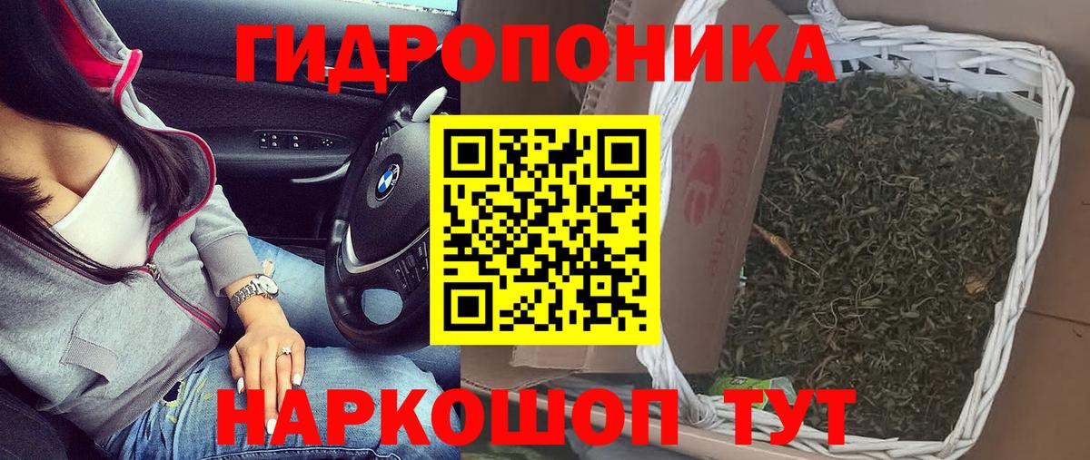 Конопля марихуана  Марихуана сатива  Вход с VPN  Каннабис VHQ  Ноябрьск 